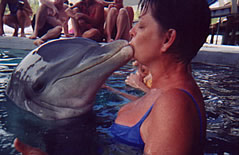 A close encounter with a dolphin!
